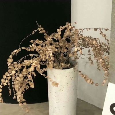 Furry插画故事感营造兽圈社群